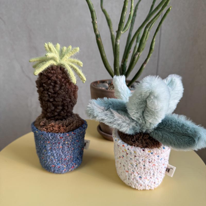 Pot Series Catnip Toy (6 Designs)