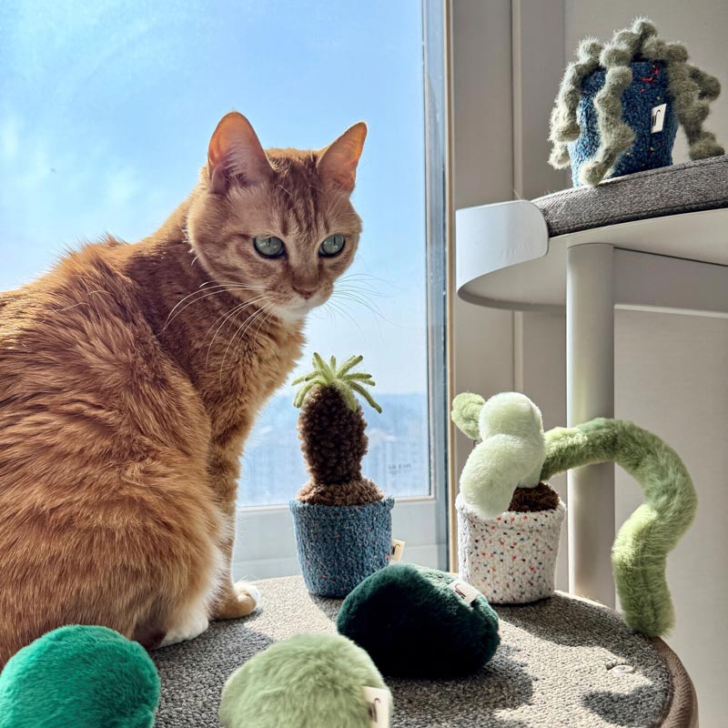 Pot Series Catnip Toy (6 Designs)