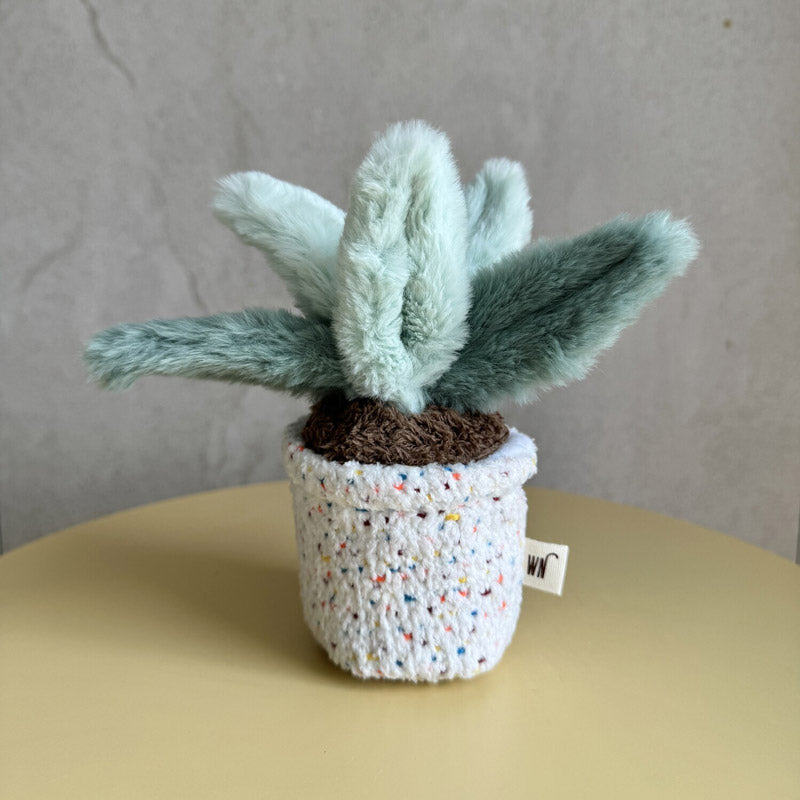 Pot Series Catnip Toy (6 Designs)