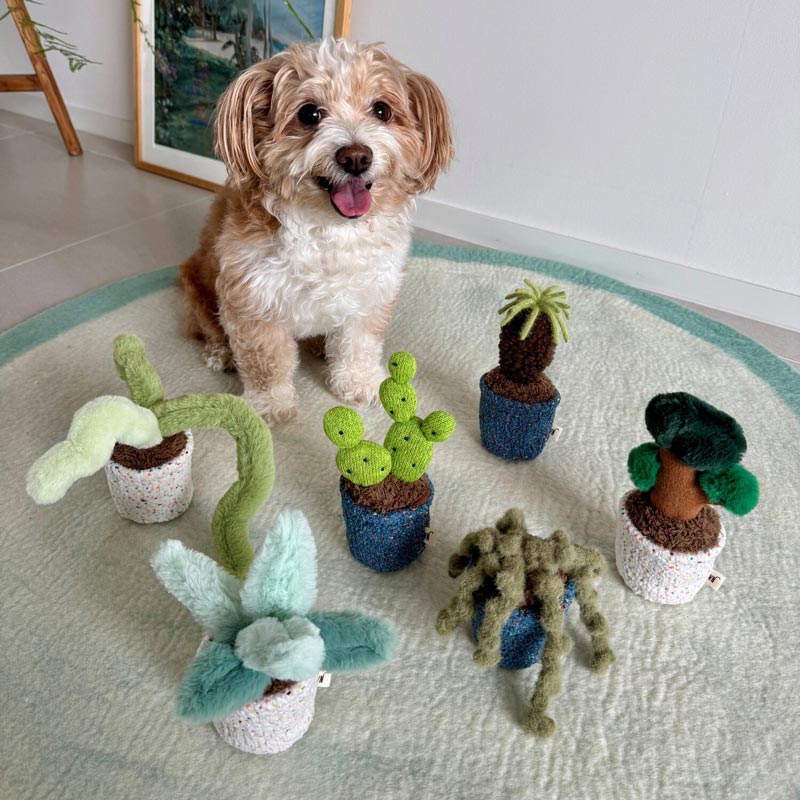 Pot Series Dog Nosework Toy (6 Designs)