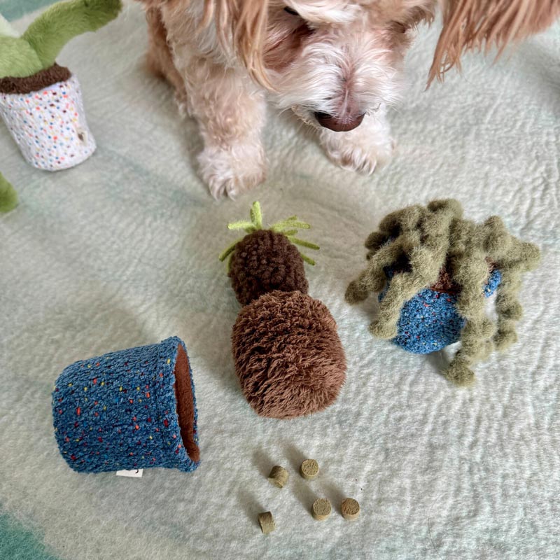 Pot Series Dog Nosework Toy (6 Designs)