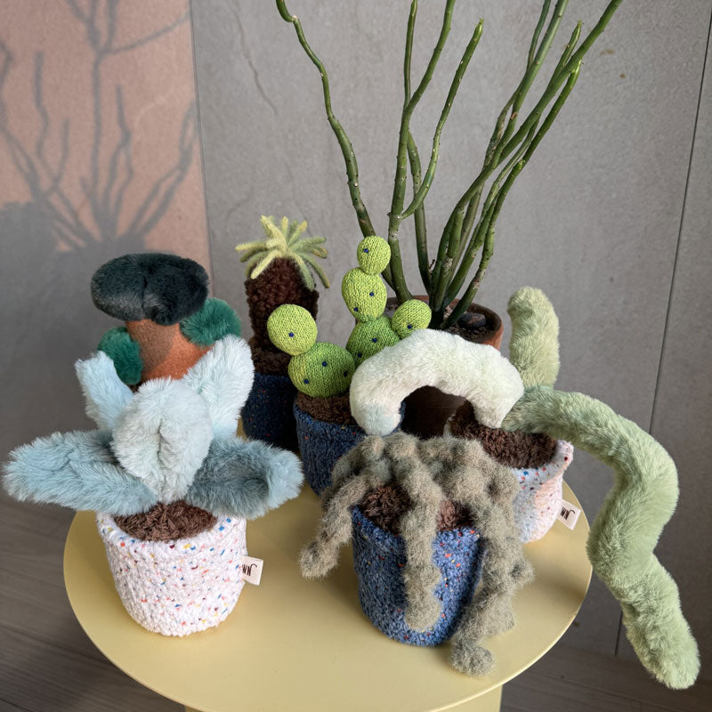 Pot Series Dog Nosework Toy (6 Designs)