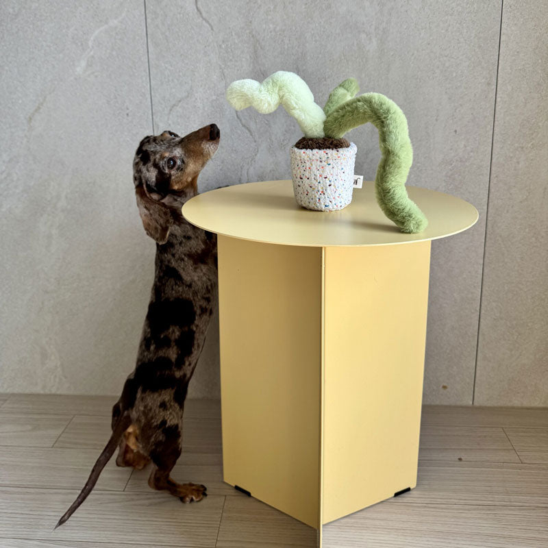 Pot Series Dog Nosework Toy (6 Designs)