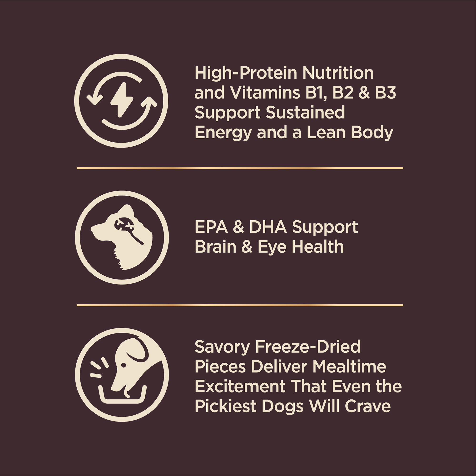 Wellness Core+ (formerly Rawrev) Puppy With Freeze Dried Turkey Grain Free Dry Dog Food