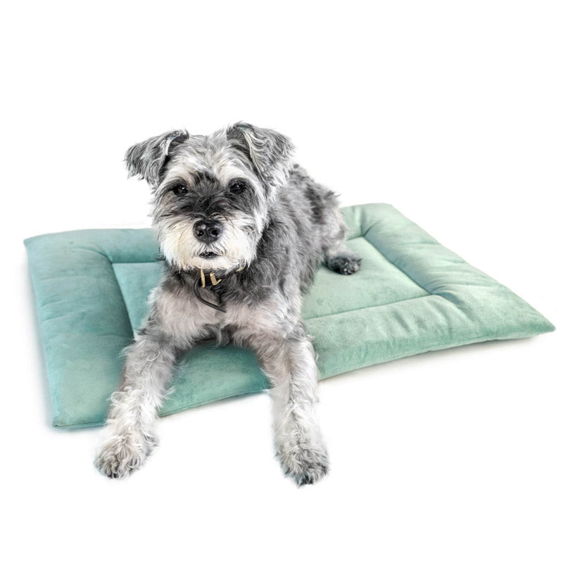 PAWD® Pad | Pet Crate Liner Bed