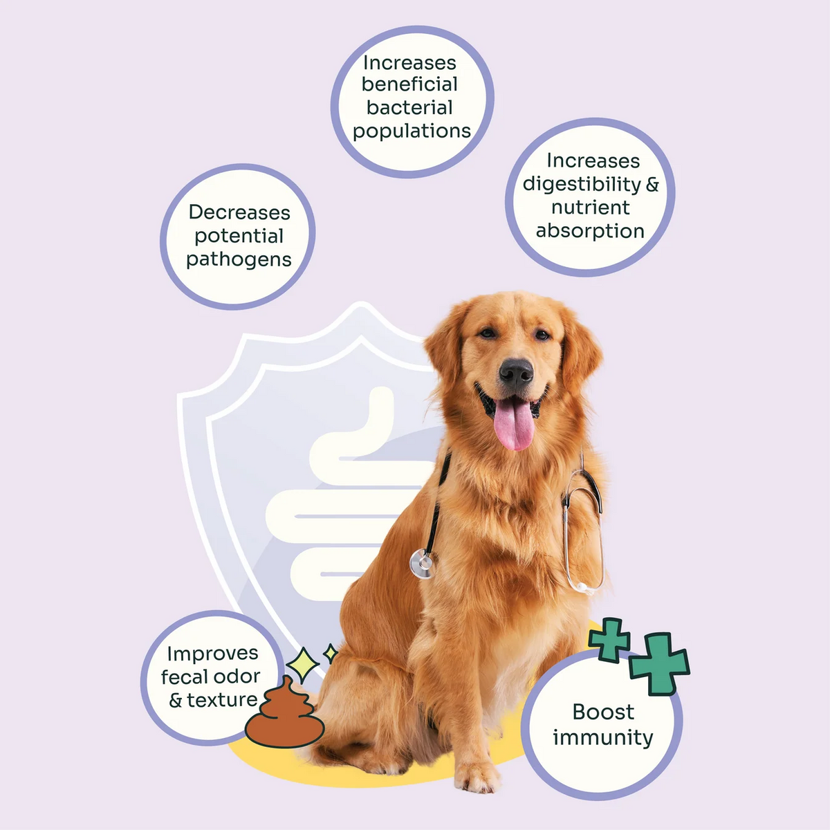 Notti Allergy Care Slow-Baked Fresh Duck & Salmon Dog Dry Food
