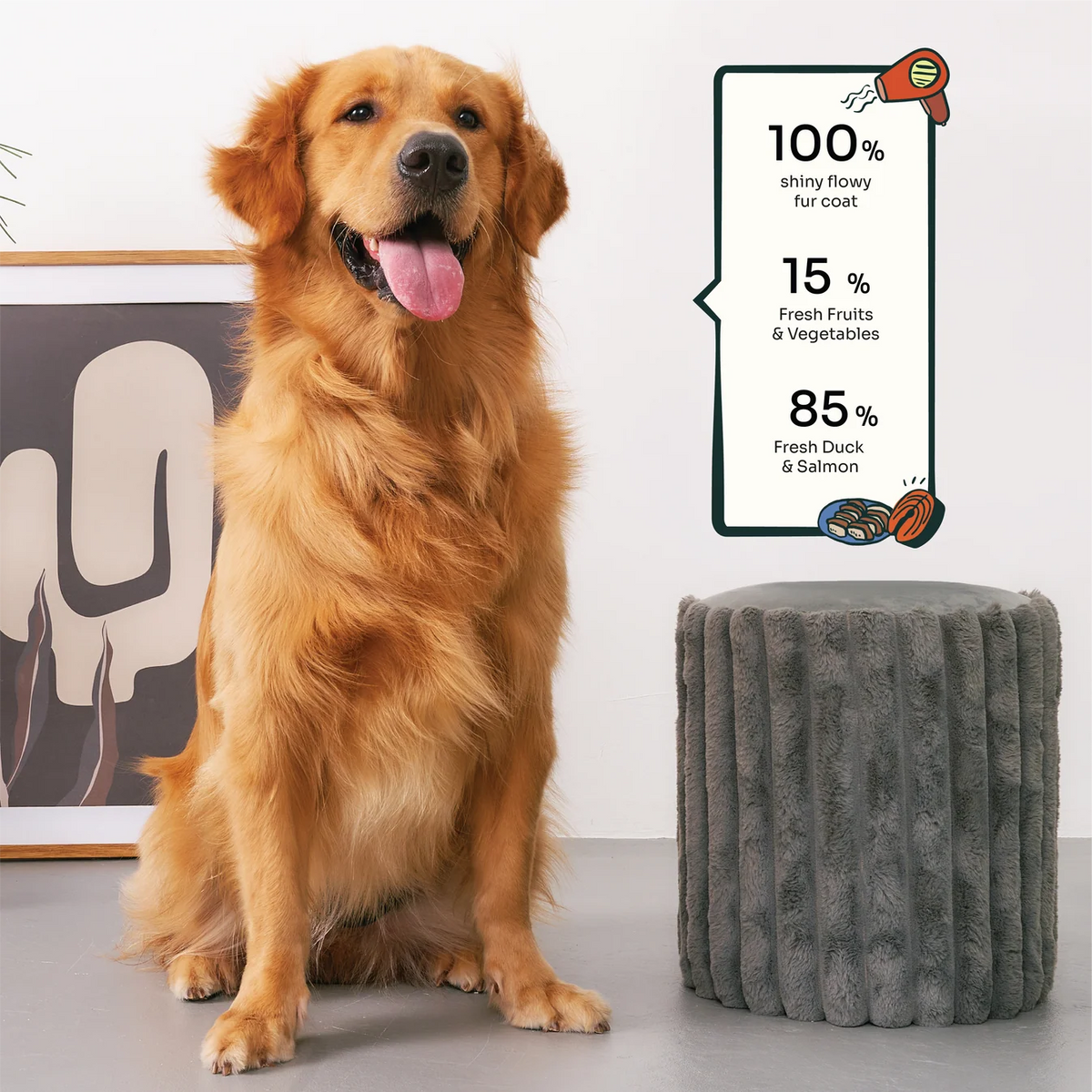 Notti Allergy Care Slow-Baked Fresh Duck & Salmon Dog Dry Food