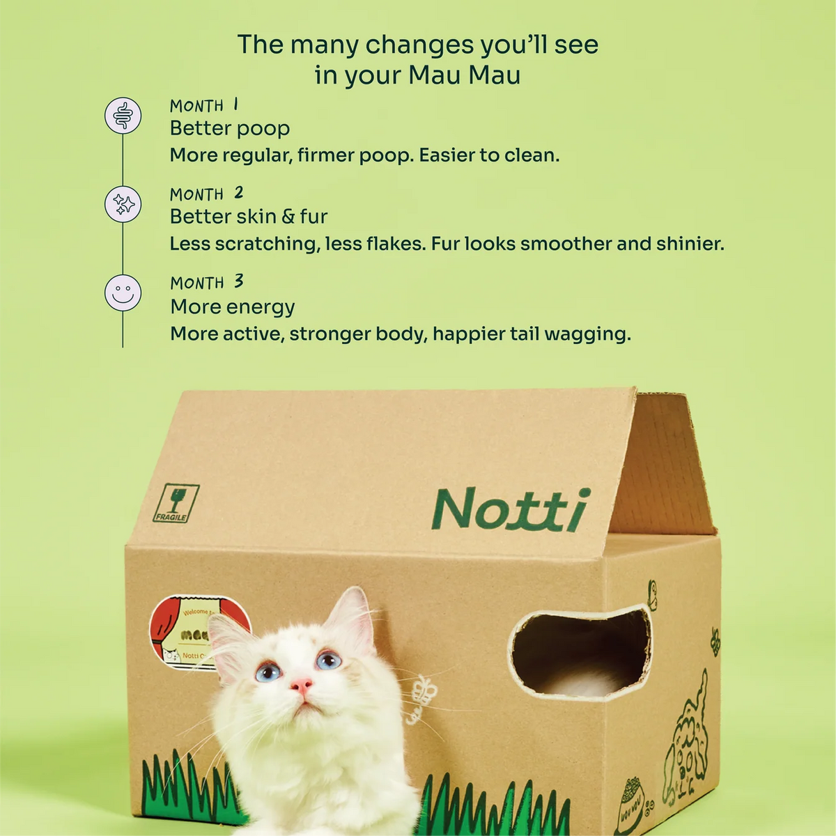 Notti Slow-Baked Grain-Free Fresh Chicken & Tuna Cat Dry Food