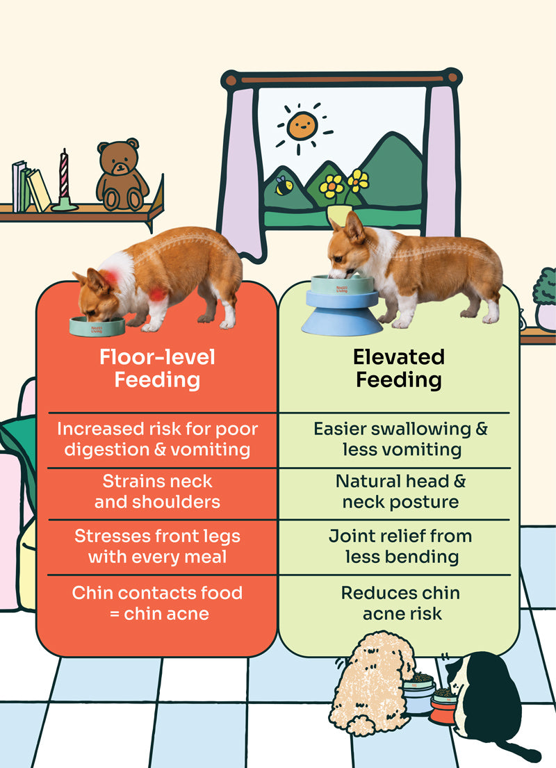 Notti Living 001 Mealtime Feeder Set