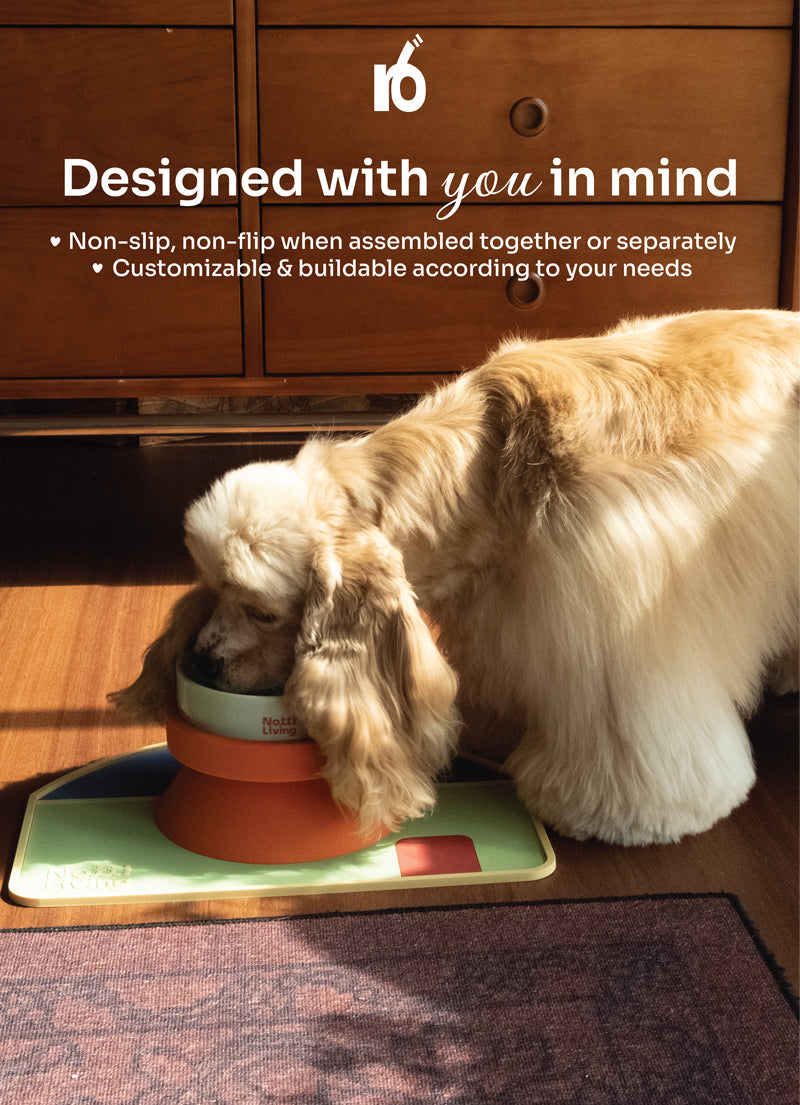 Notti Living 001 Pet Food Bowl Stand