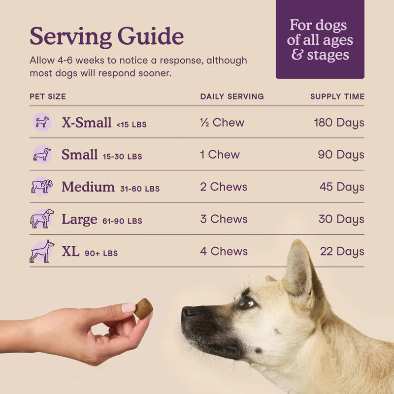 Calming Soft Chews for Dogs (90 Chews)