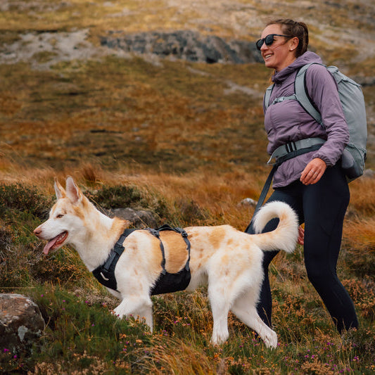 Ridgeline™ Reflective Harness with Magnetic Buckles | Obsidian Black