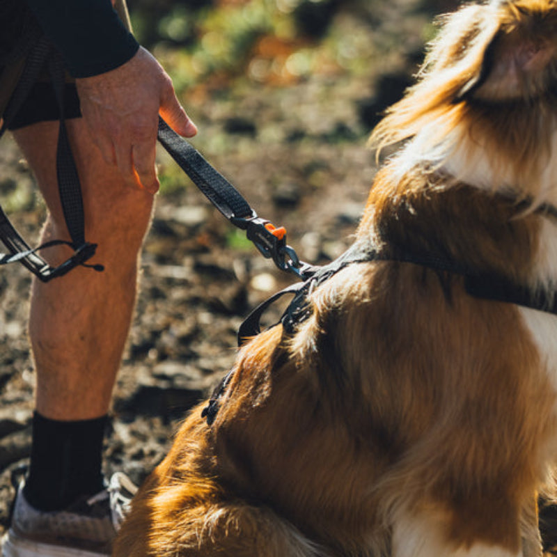 Ridgeline™ Reflective Hands-Free Dog Leash with Auto-Locking Clip | Obsidian Black