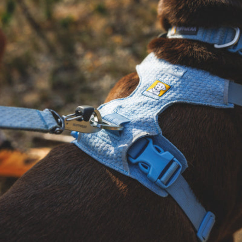 Front Range® Flex No-Pull Dog Knit Harness (4 Colours)