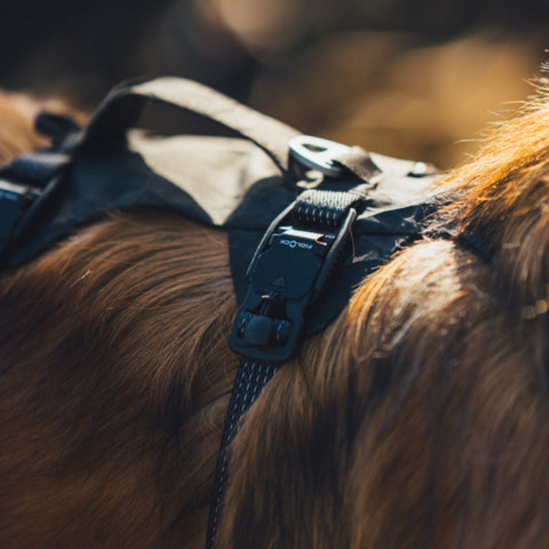 Ridgeline™ Reflective Harness with Magnetic Buckles | Obsidian Black