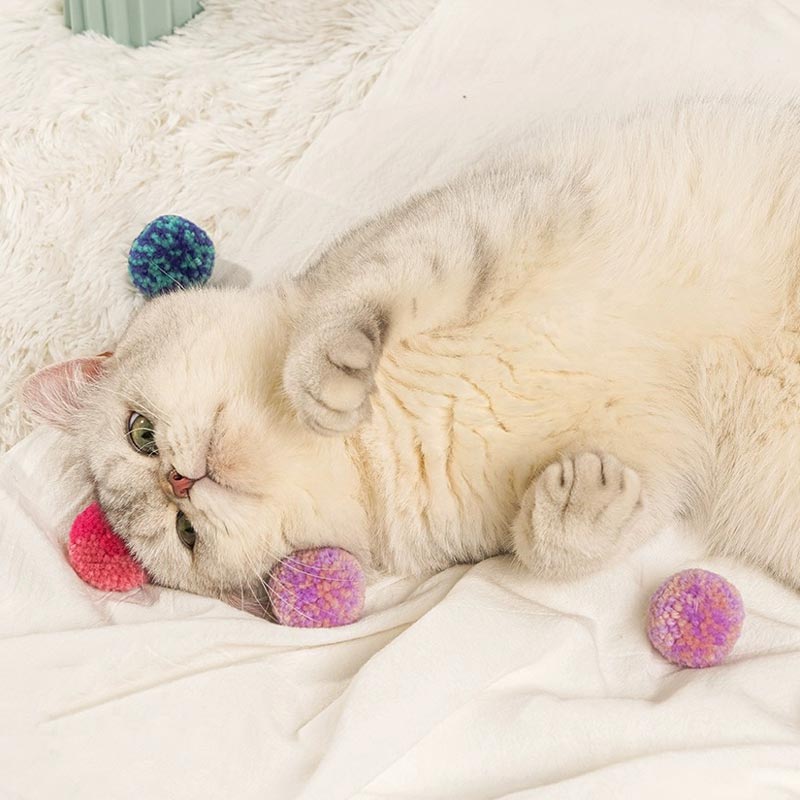 Paws Holic Furry Yarn Ball (Box of 6) - CreatureLand