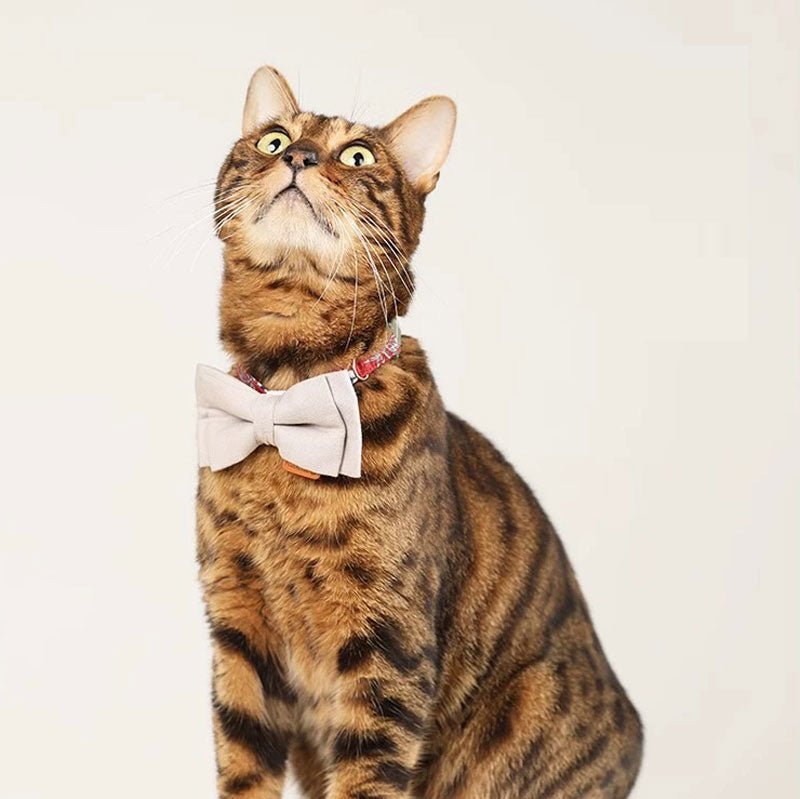 Paws Holic Graphic Cat Collar -Pomegranate - CreatureLand