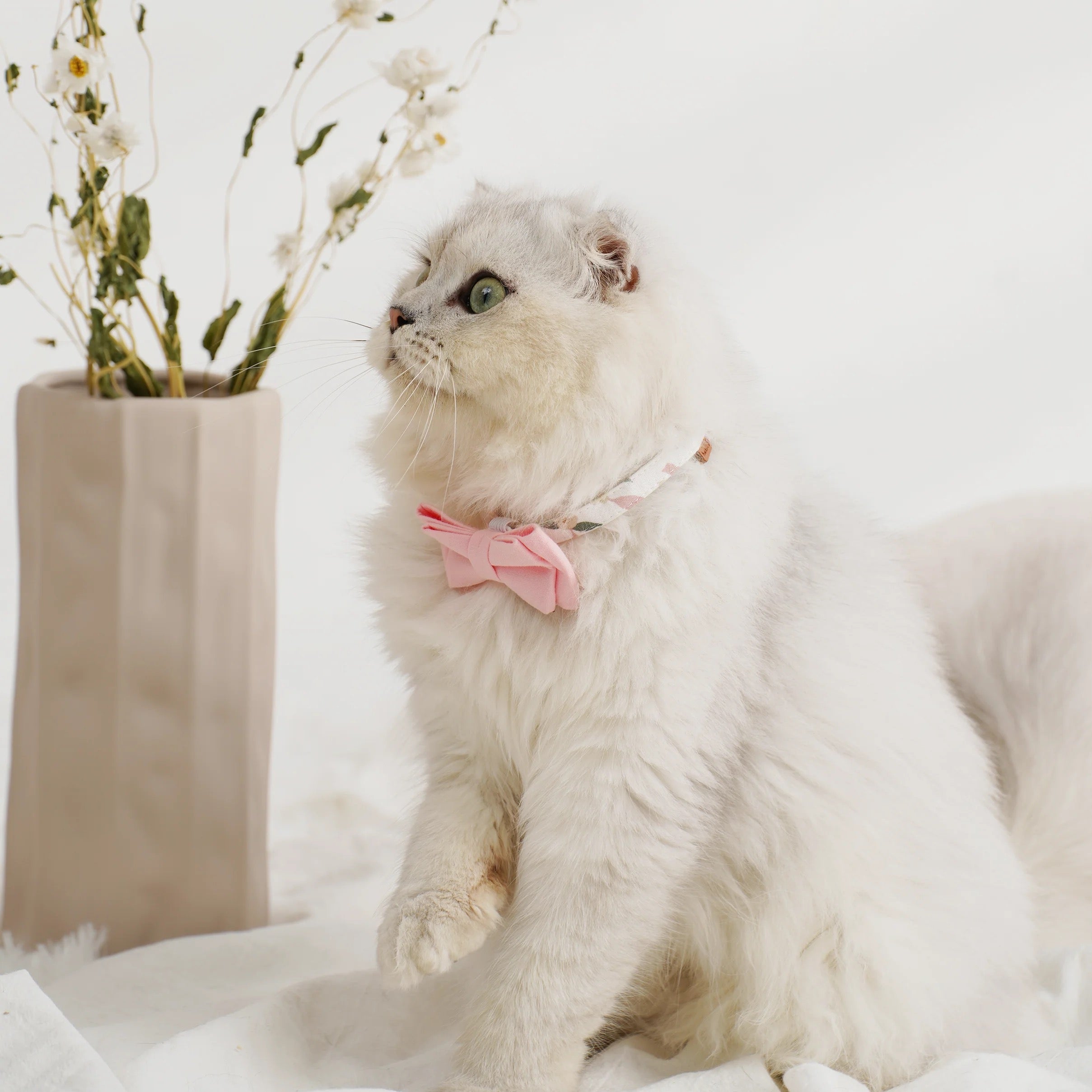 Paws Holic Graphic Cat Collar - Sakura - CreatureLand