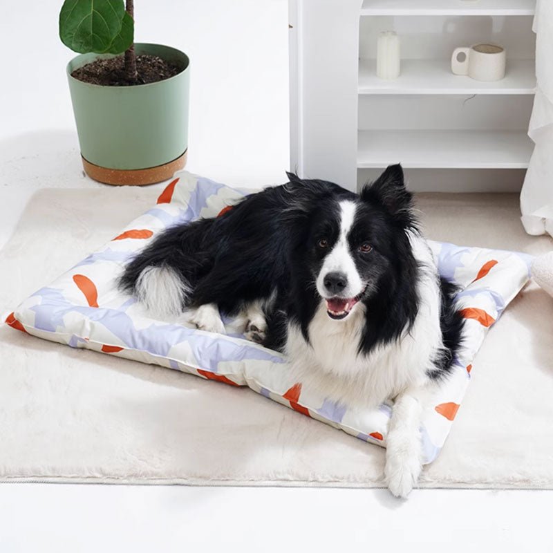 Paws Holic Paws Holic x Jessica Nielsen Cooling Mat (3 Sizes) - CreatureLand