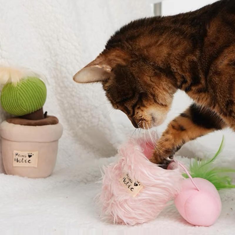 Paws Holic Potted Cat Plush Toy (3 Designs) - CreatureLand