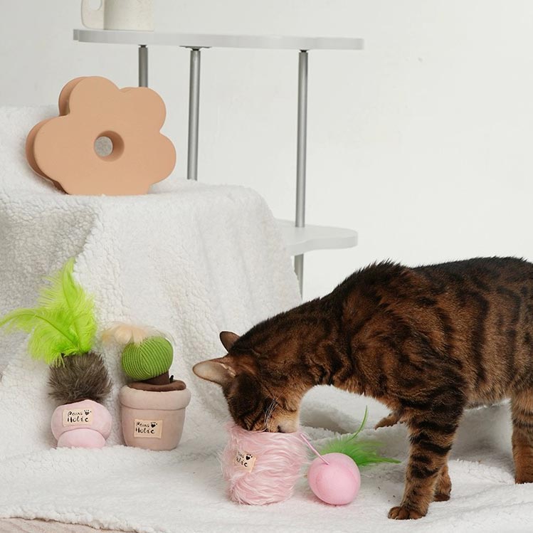 Paws Holic Potted Cat Plush Toy (3 Designs) - CreatureLand