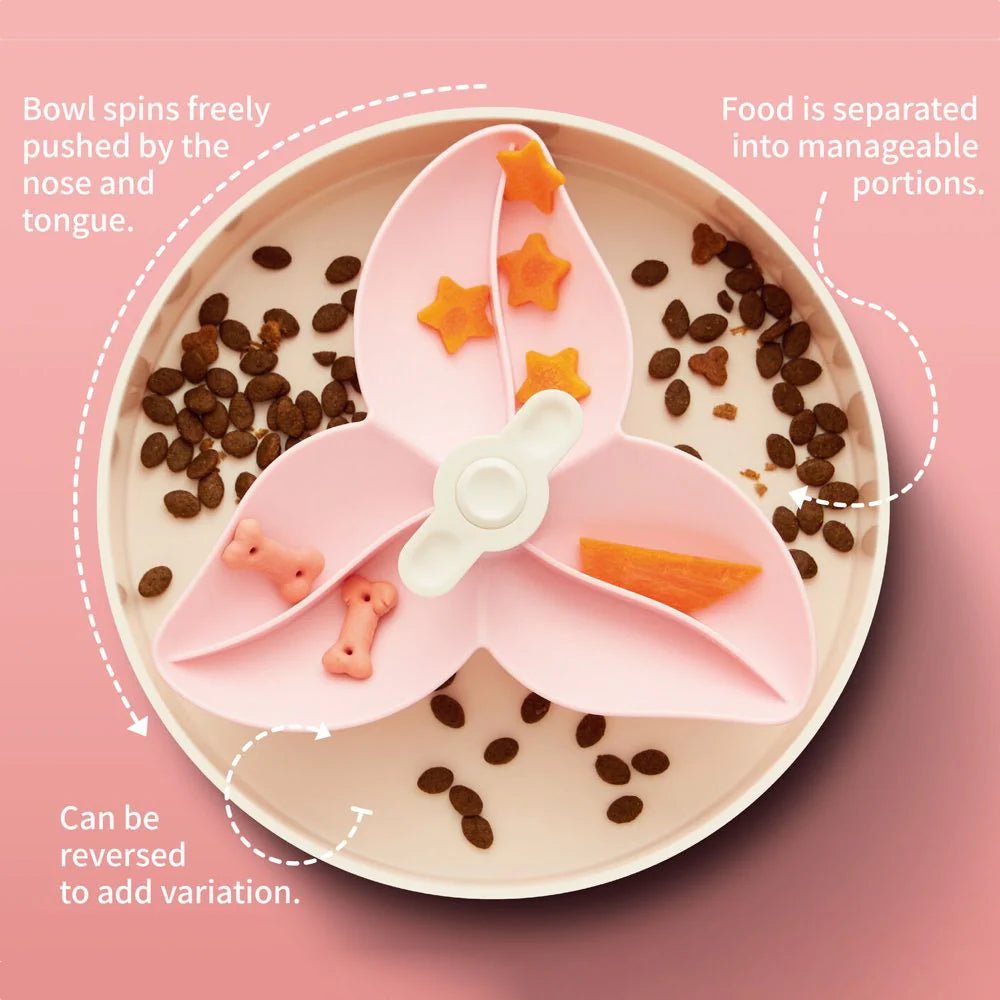 PetDreamHouse SPIN Interactive Feeder | Bougainvillea Baby Pink - CreatureLand