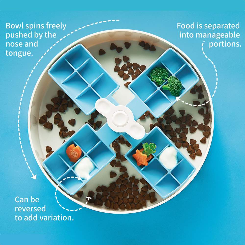 PetDreamHouse SPIN Interactive Feeder | Windmill Blue - CreatureLand