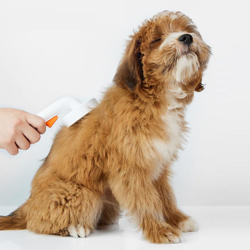 PETKIT Grooming Slicker Brush (Generation 2) - CreatureLand