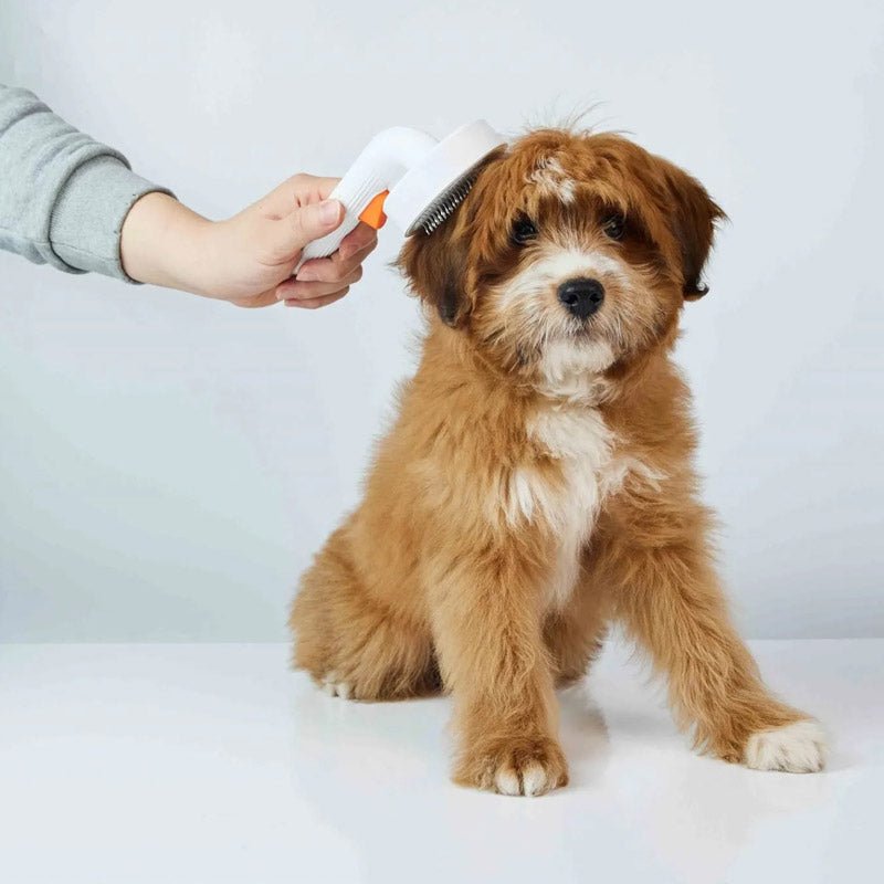 PETKIT Grooming Slicker Brush (Generation 2) - CreatureLand