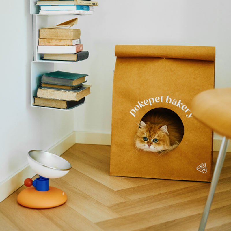 Pokepet Bloom Adjustable Stainless Steel Bowl (3 Colours) - CreatureLand