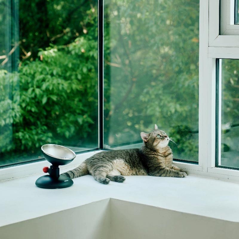 Pokepet Bloom Adjustable Stainless Steel Bowl (3 Colours) - CreatureLand