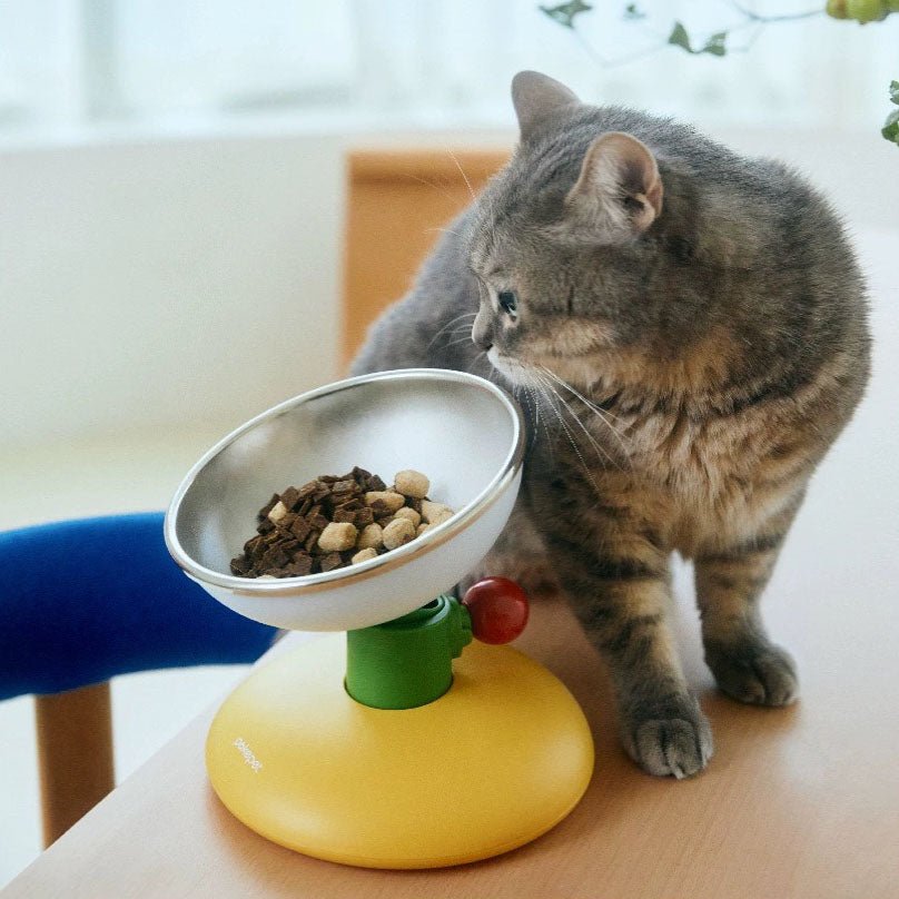 Pokepet Bloom Adjustable Stainless Steel Bowl (3 Colours) - CreatureLand