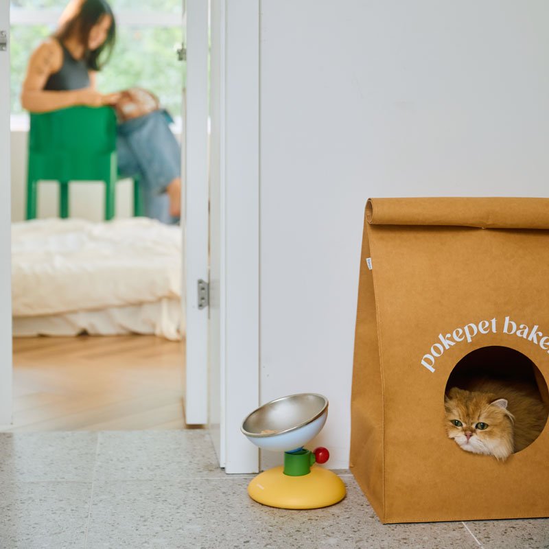 Pokepet Bloom Adjustable Stainless Steel Bowl (3 Colours) - CreatureLand