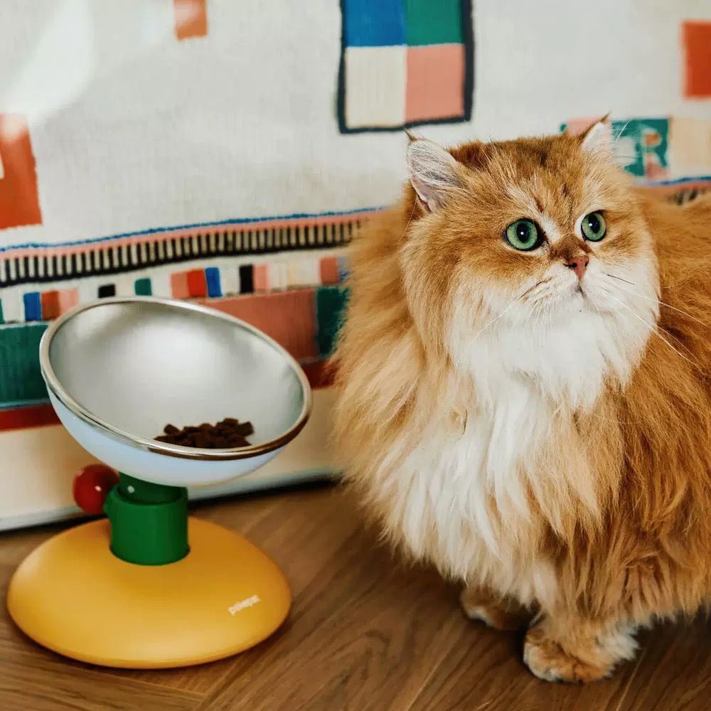 Pokepet Bloom Adjustable Stainless Steel Feeder (3 Colours) - CreatureLand