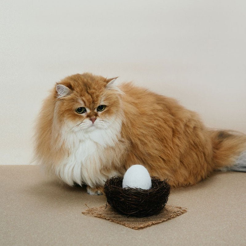 Pokepet Egg Crate Catnip Toy - CreatureLand