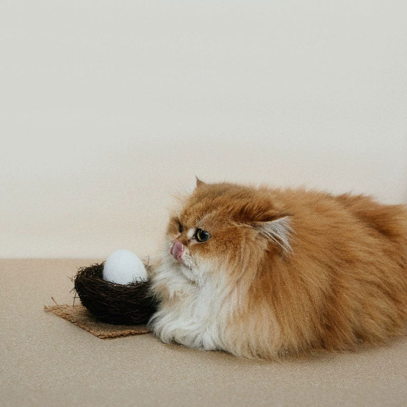 Pokepet Egg Crate Catnip Toy - CreatureLand