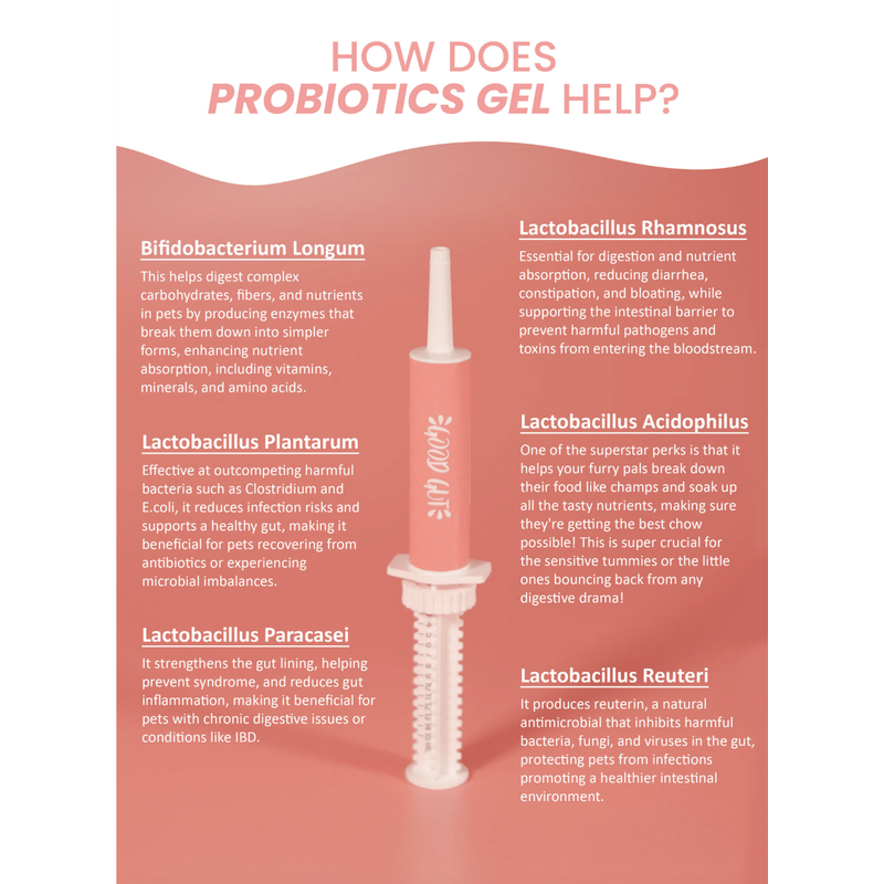 Good Gut Probiotics Gel For Dogs and Cats (15ml)