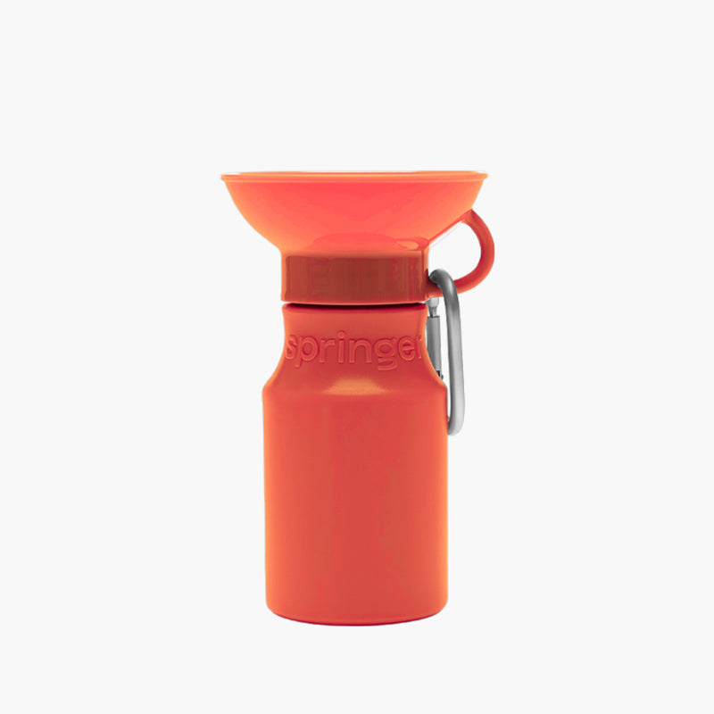 Mini Travel Water Bottle (15oz)