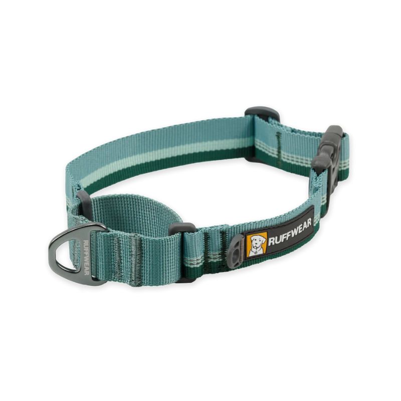 Web Reaction™ Reflective Martingale Dog Collar With Buckle (3 Colours)