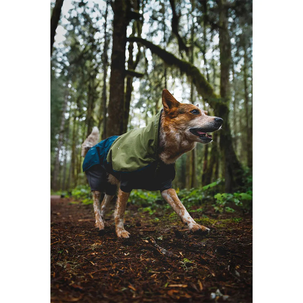 Sun Shower™ Coverall Dog Rain Suit