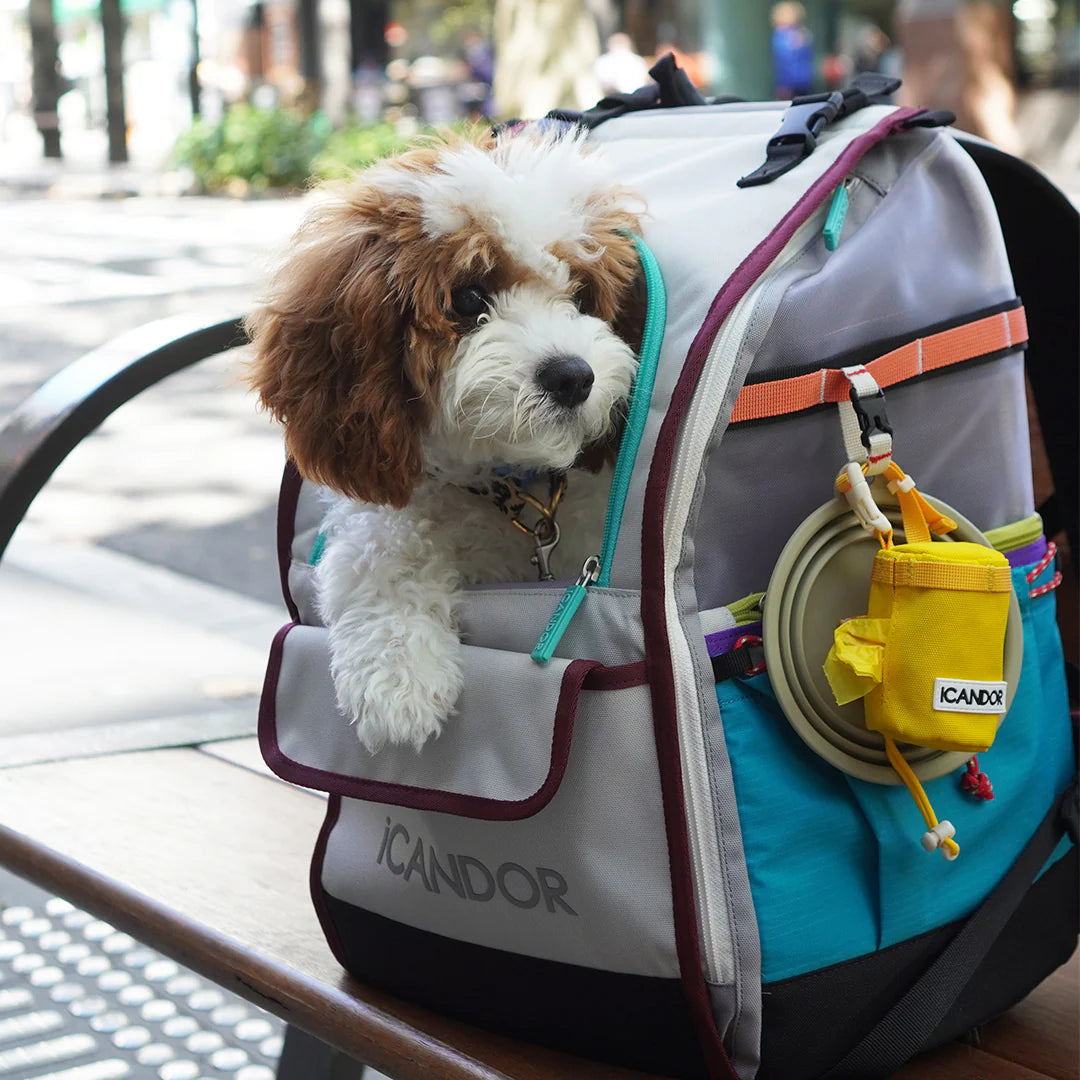 BACKORDER | Jige pet backpack - Misty Grey (2 Sizes)