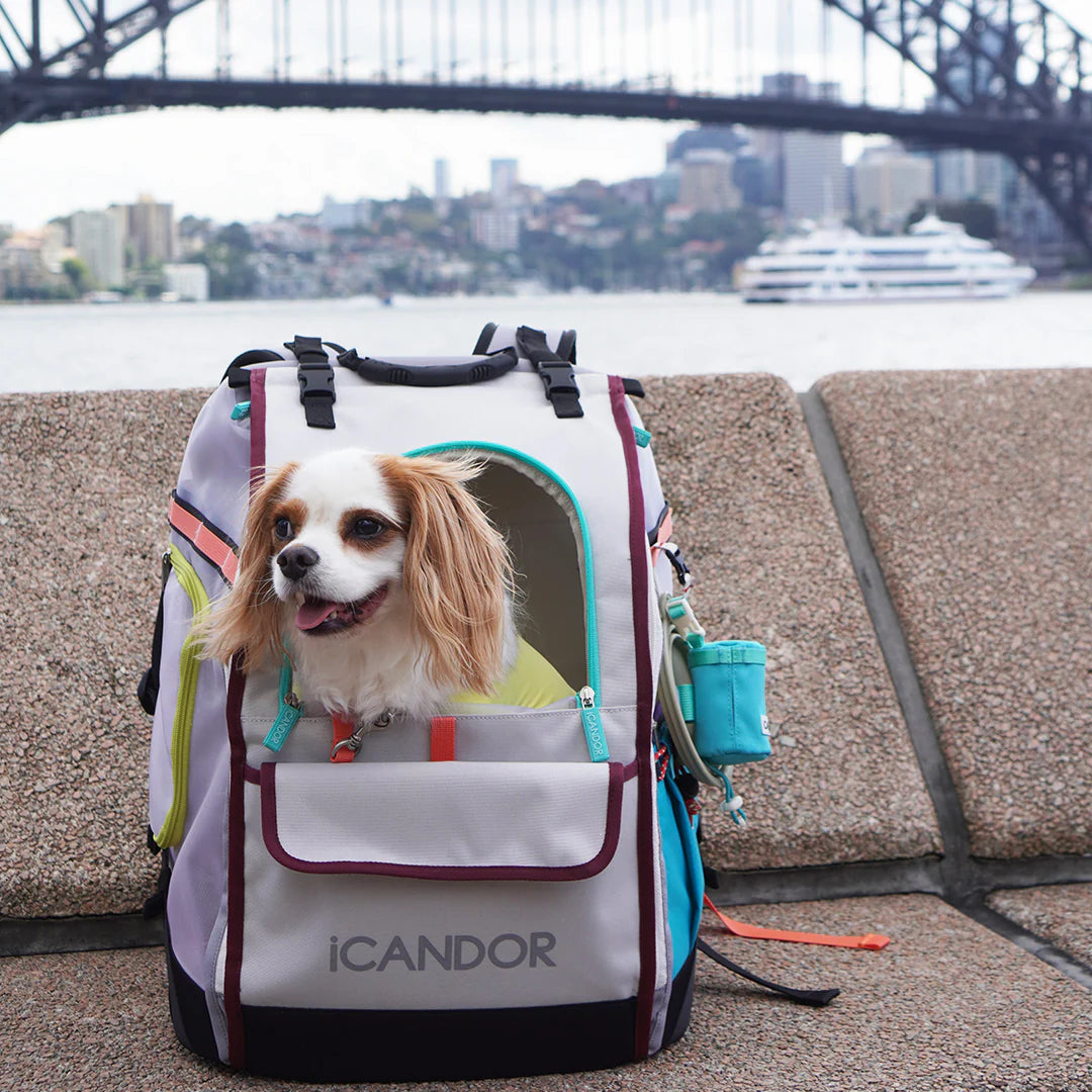 BACKORDER | Jige pet backpack - Misty Grey (2 Sizes)