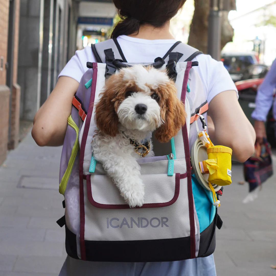 BACKORDER | Jige pet backpack - Misty Grey (2 Sizes)