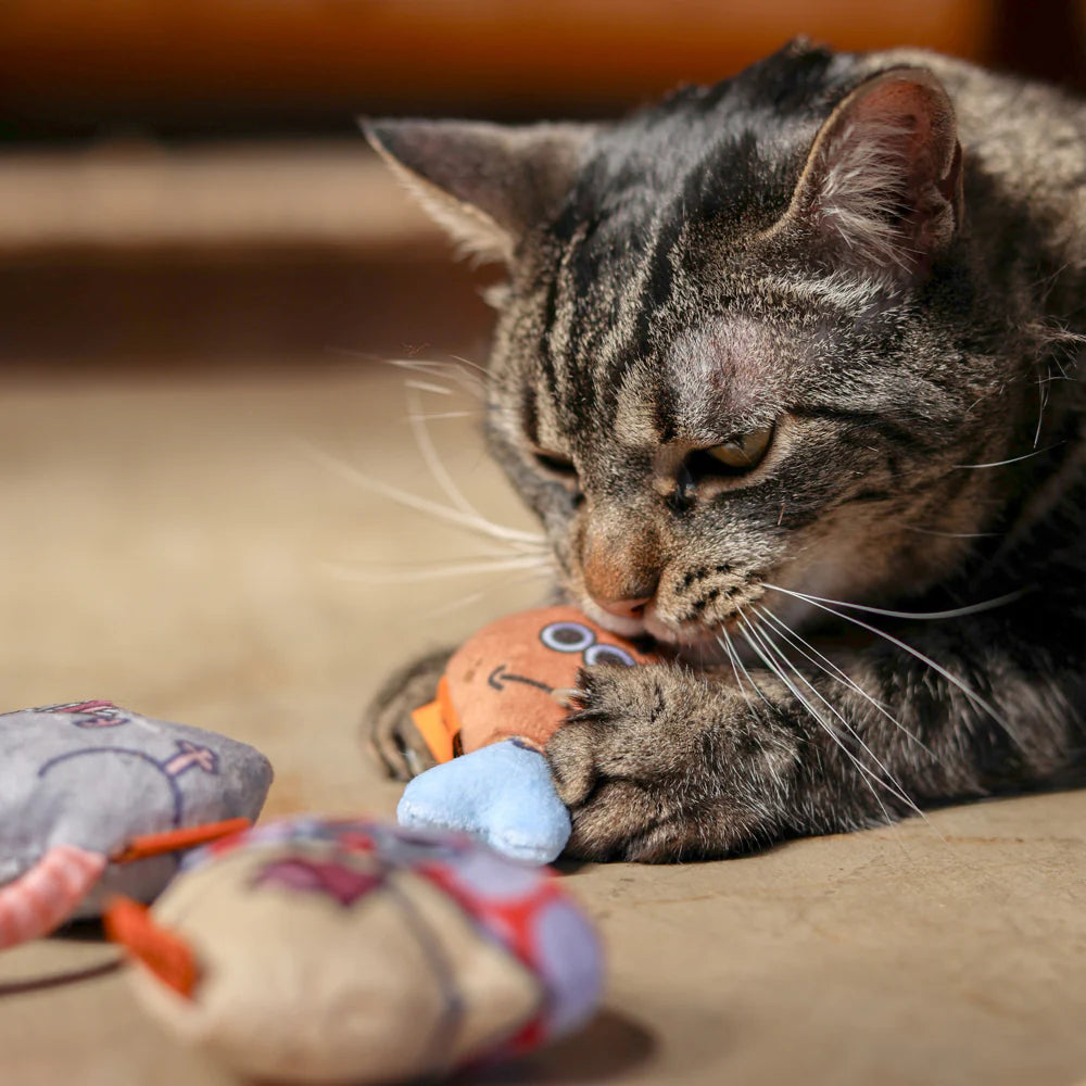 CDSG Catnip Prey Toys (10 Designs)