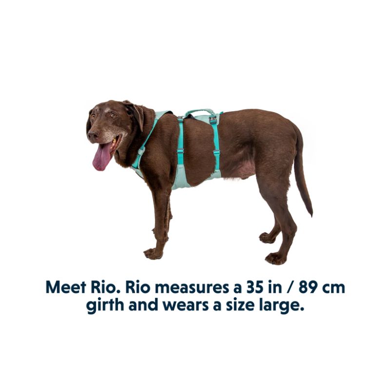 Flagline™ Lightweight & Multi-Use Dog Harness with Handle (4 Colours)