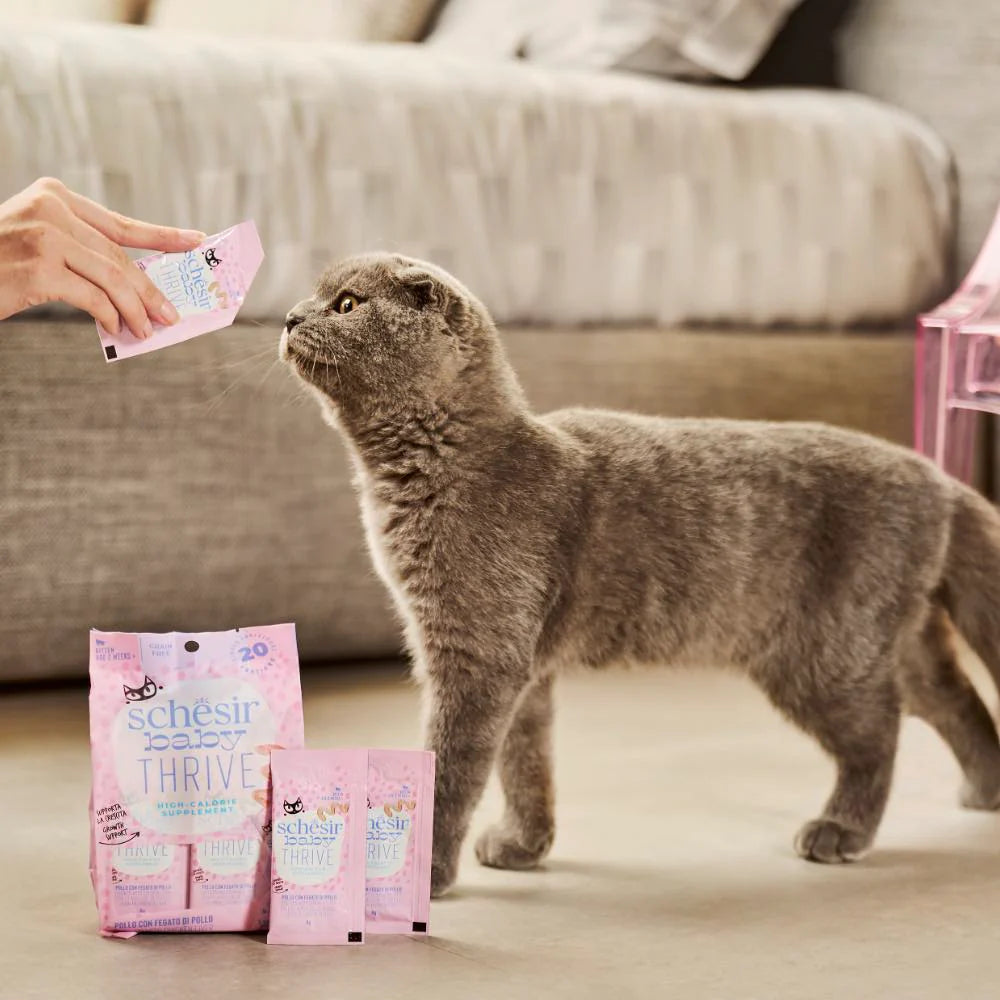 Schesir Baby Thrive High Calorie Chicken With Chicken Liver Pouch Supplement Cat Food (160g)