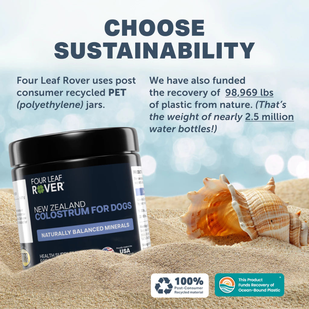 Bovine Colostrum | Immune Support For Dogs