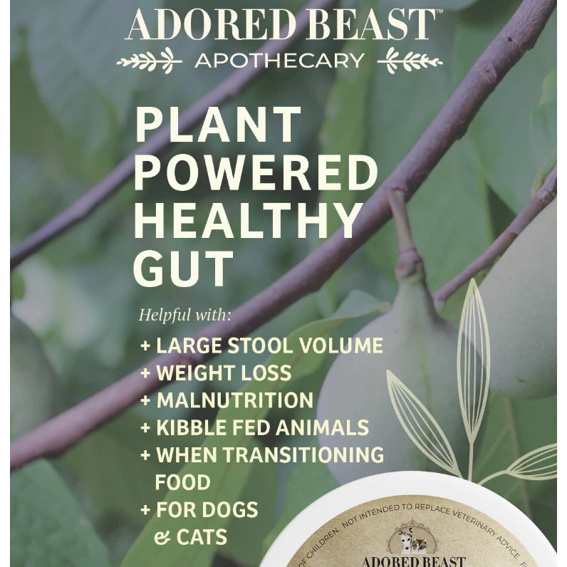 Plant Powered Healthy Gut | Digestive Enzyme (2 Sizes)