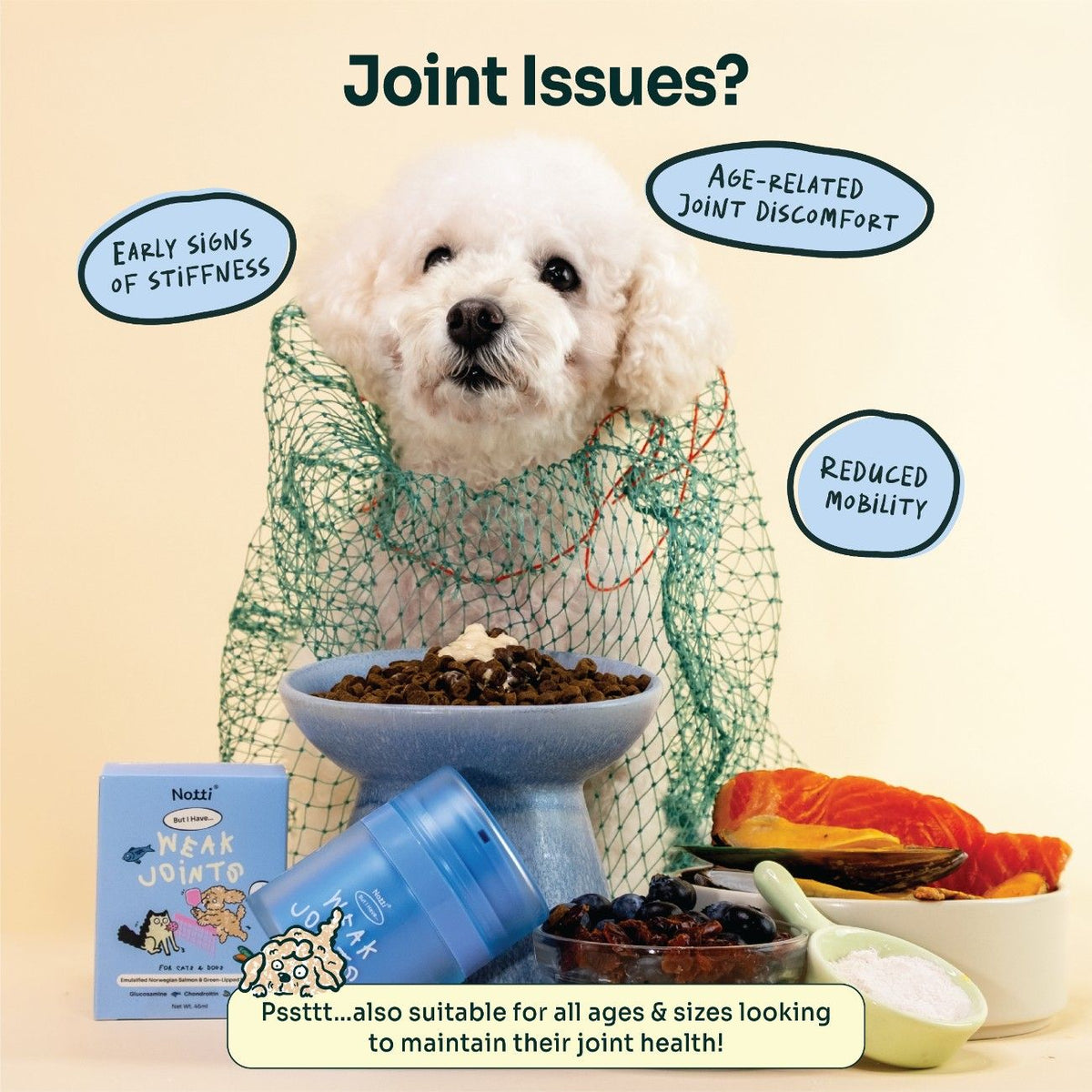 Notti "But I Have Weak Joints" Emulsified Norwegian Salmon & Green-Lipped Mussel Oil (45ml)