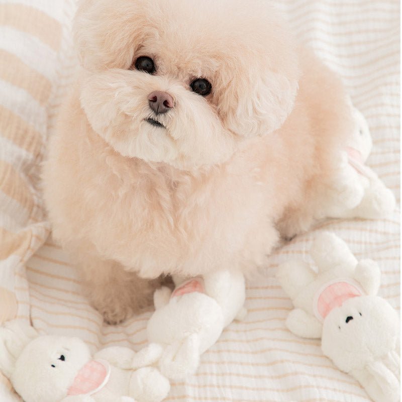 SSFW Bestie Bunny Dog Toy - CreatureLand